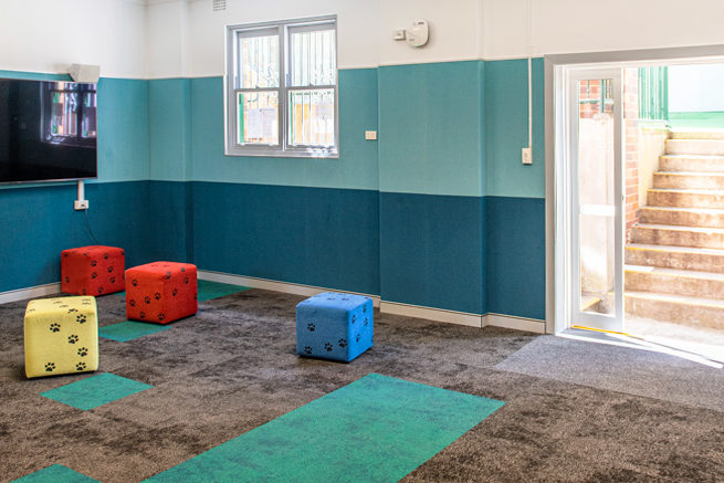 Acoustic Pinboard Wall Lining in School Classroom