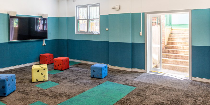 Acoustic Pinboard Wall Lining in School Classroom